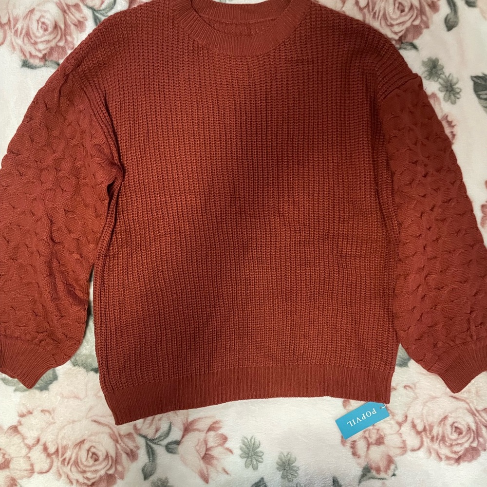 Cozy Rust Sweater with Textured Sleeves